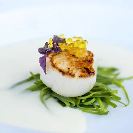 Hotel Barcelo Hamilton Menorca - Adults Only 4*